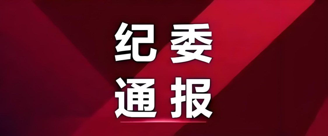 他接受纪律审查和监察调查